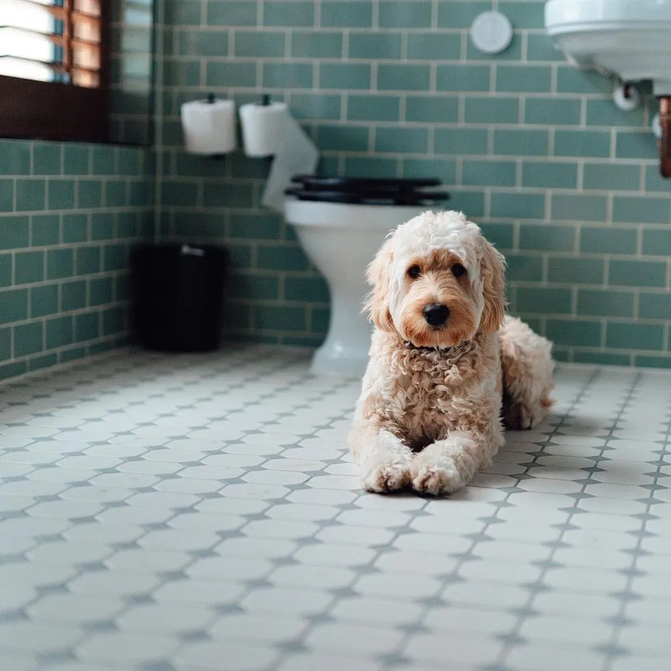 Bathroom with porcelain tile floor